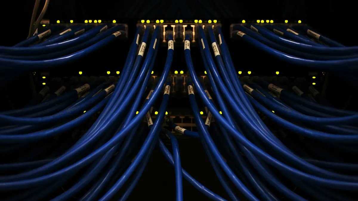 Blue network cables connected in a server rack.